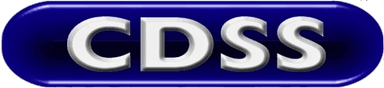 CDSS — Computer Designs, Systems, Services (Nig.) Limited